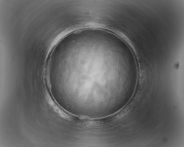 X0000114541381200911301151