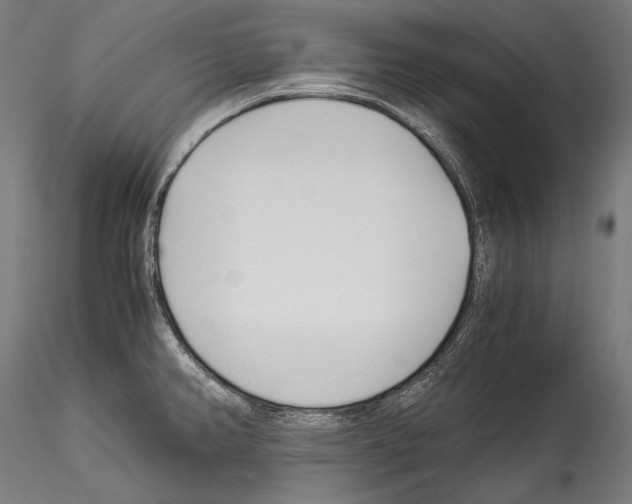 X0000114541382200911301151