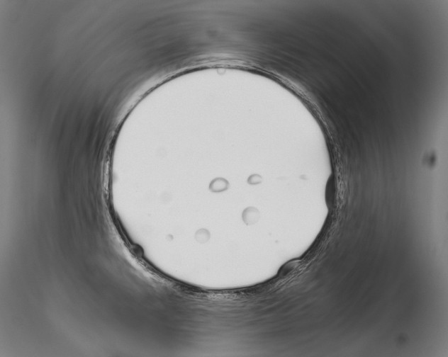 X0000114541383200911301151