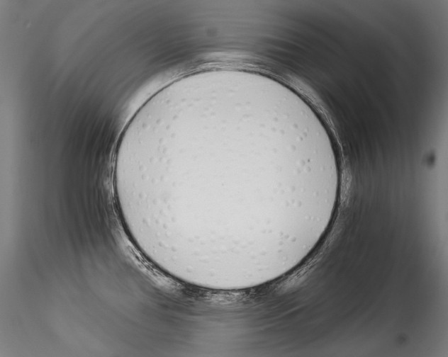 X0000114541386200911301151