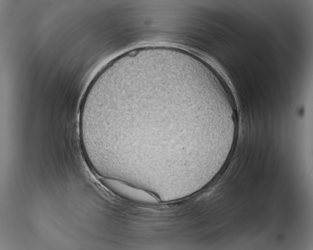 X0000114541388200911301151