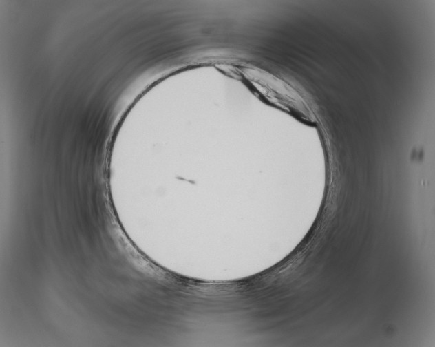 X0000114541392200911301151