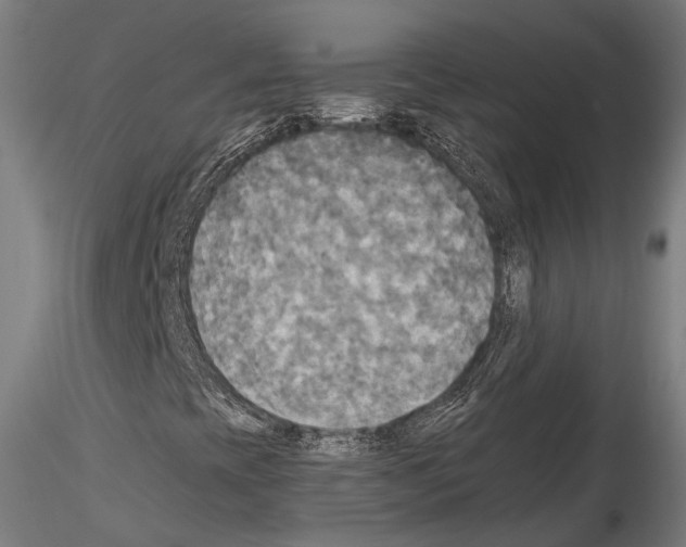 X0000114541393200911301150