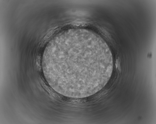 X0000114541396200911301150