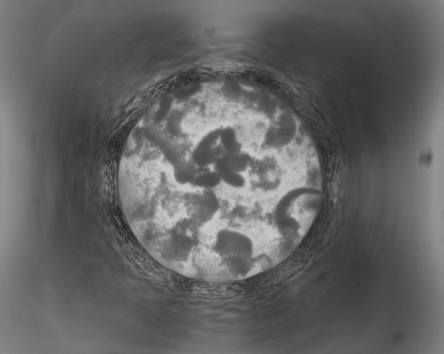 X0000114541397200911301150