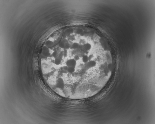 X0000114541401200911301151