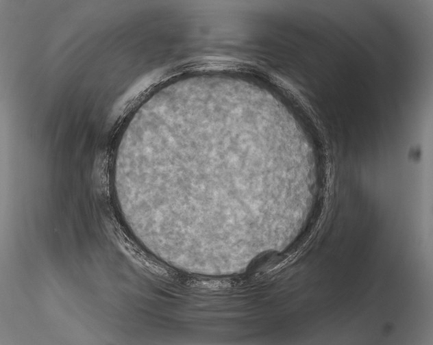 X0000114541403200911301151