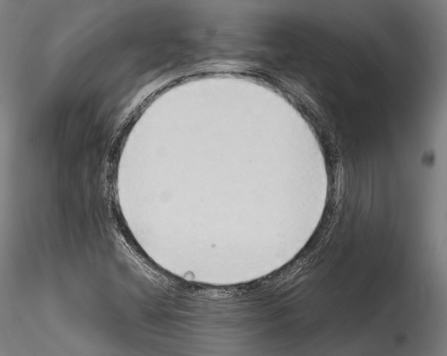 X0000114541404200911301151