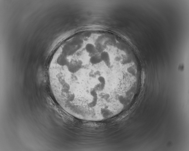 X0000114541405200911301151