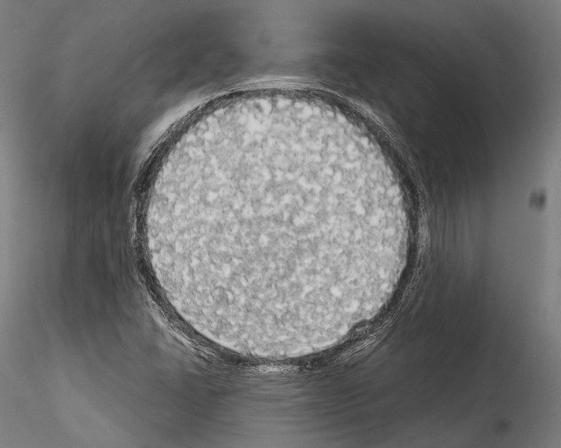 X0000114541406200911301151