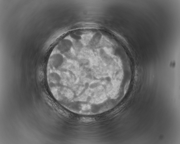 X0000114541407200911301151