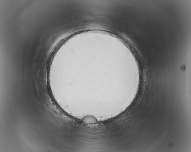 X0000114541408200911301151