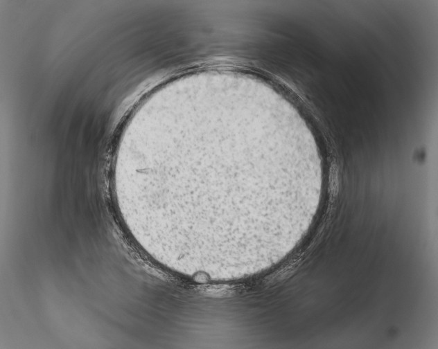 X0000114541410200911301151