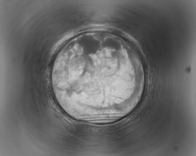 X0000114541411200911301151