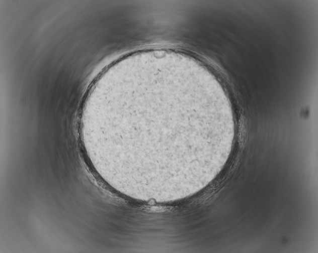 X0000114541412200911301151