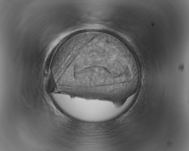 X0000114541414200911301151