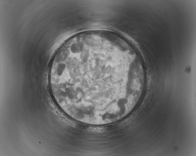 X0000114541415200911301151