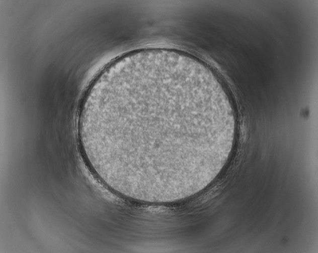 X0000114541416200911301151