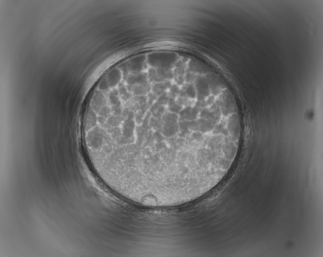 X0000114541418200911301151