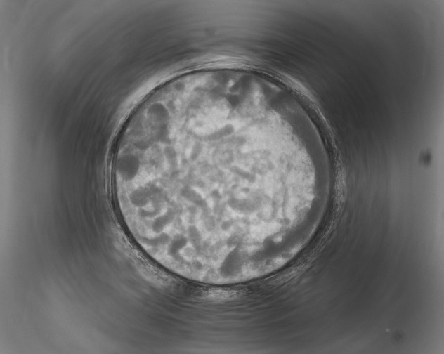 X0000114541419200911301151