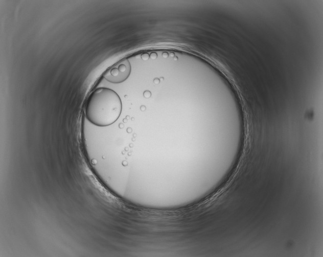 X0000114541420200911301151