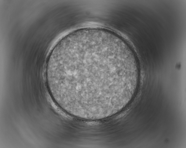 X0000114541421200911301151