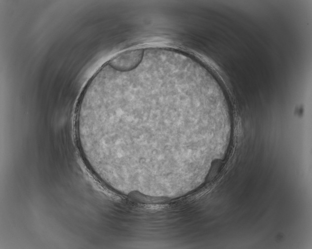 X0000114541423200911301151