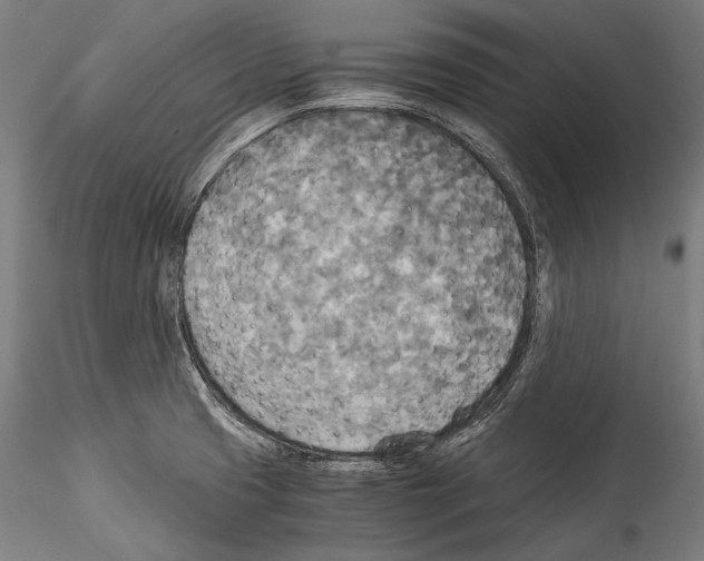 X0000114541425200911301151