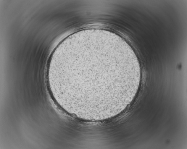 X0000114541426200911301151