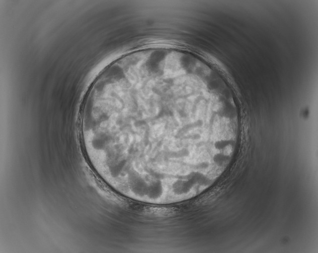 X0000114541427200911301151