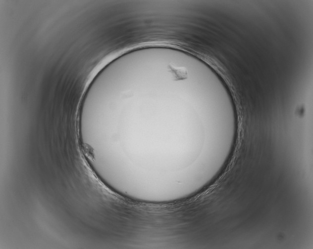 X0000114541428200911301151