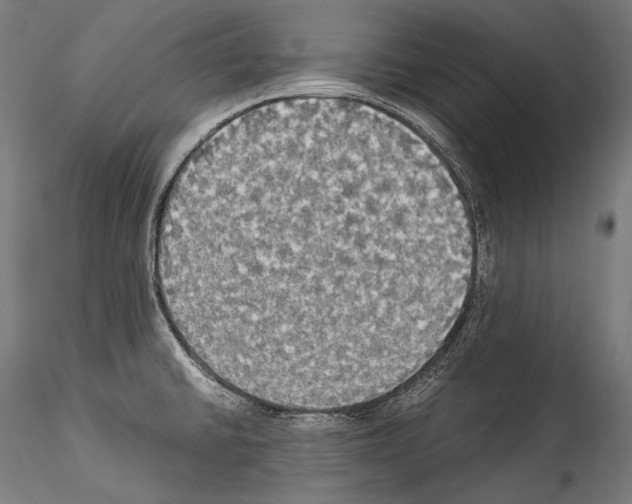 X0000114541430200911301151