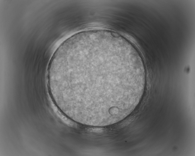 X0000114541431200911301151