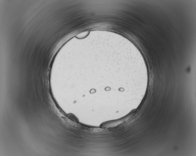 X0000114541434200911301151