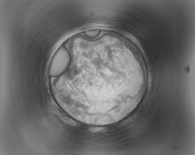 X0000114541435200911301151