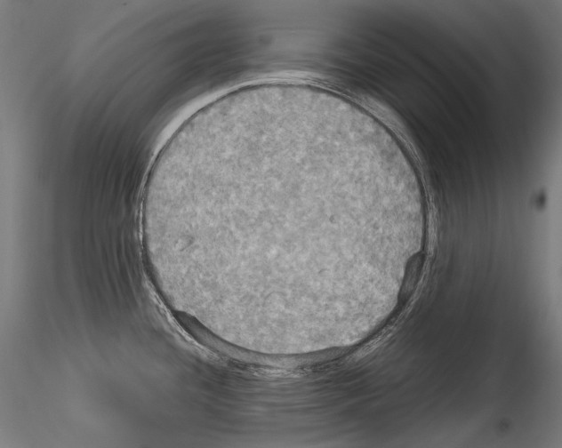 X0000114541436200911301151