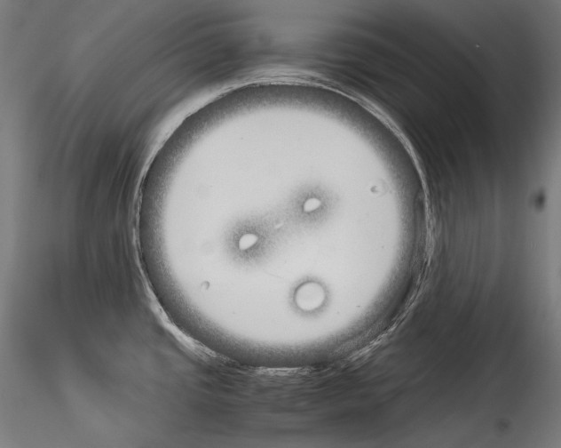 X0000114541437200911301151