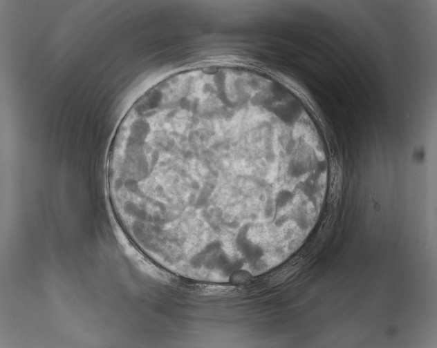 X0000114541439200911301151