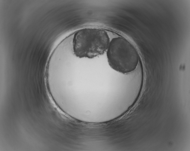 X0000114541440200911301151