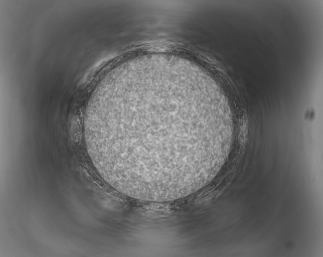 X0000114541446200911301150