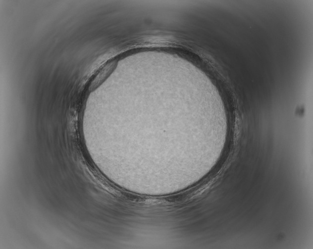 X0000114541449200911301150