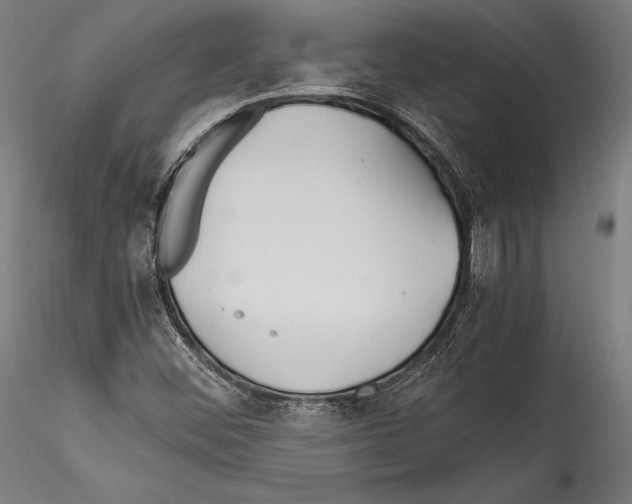 X0000114541452200911301150