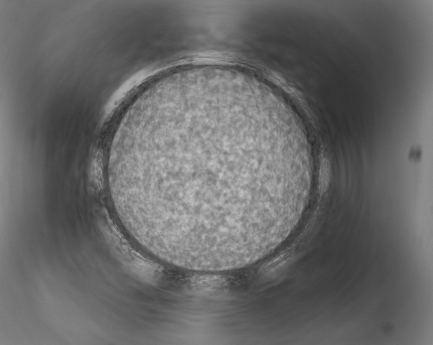 X0000114541454200911301150