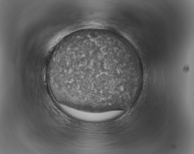 X0000114541455200911301150