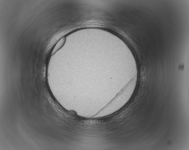 X0000114541461200911301150