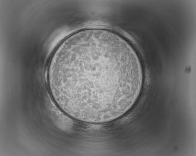 X0000114541462200911301150