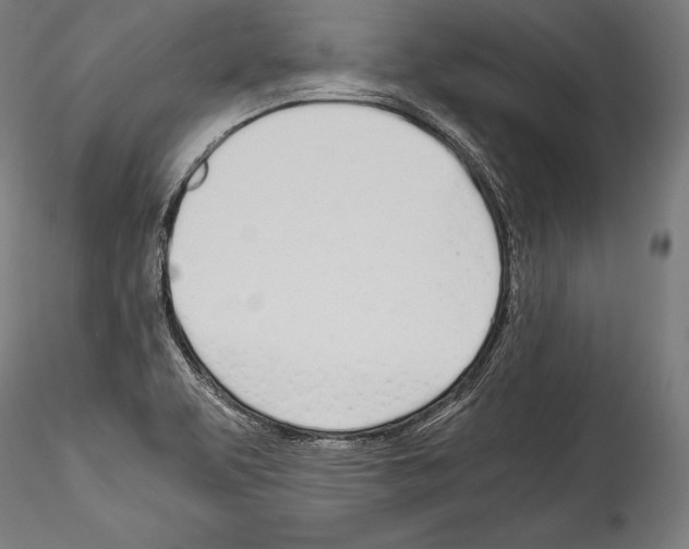 X0000114541463200911301150