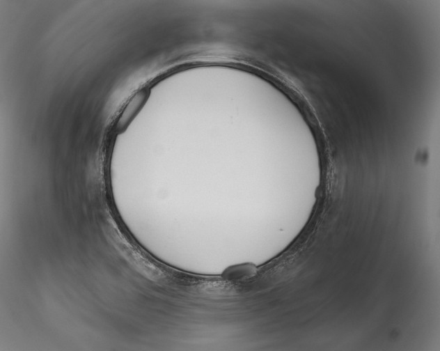 X0000114541464200911301150