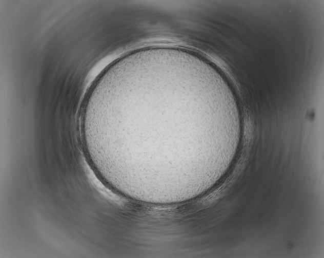 X0000114541466200911301150