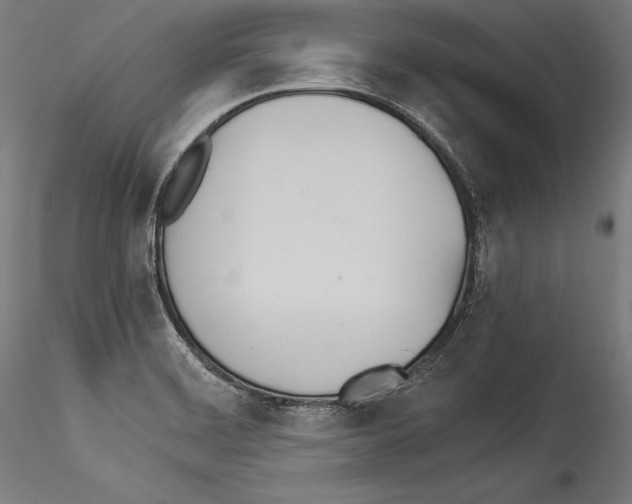 X0000114541468200911301150